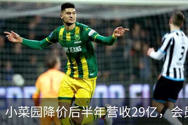 小菜园降价后半年营收29亿，会员复购占大头