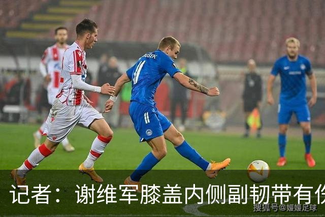 记者：谢维军膝盖内侧副韧带有伤，这轮复出挺勉强的